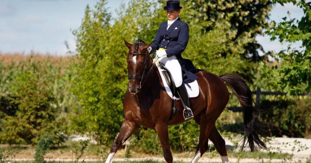 McClarrons show their support for British Equestrian Dressage