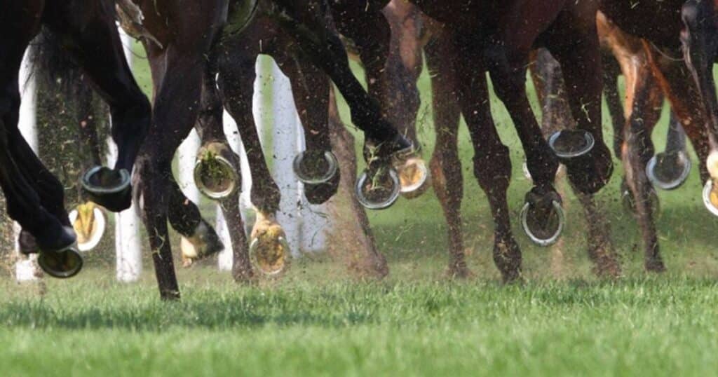 Jockeys targeted in Bank Fraud