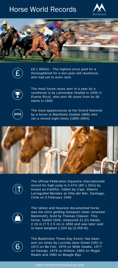 McClarrons’ Guide to Horse Insurance 1 Horse & Equestrian Business insurance - Horse World Records - McClarrons