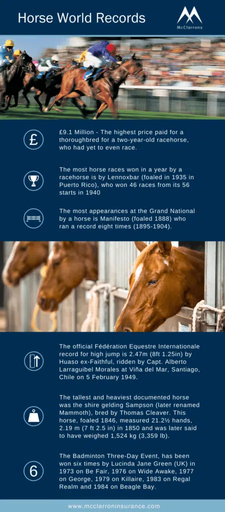 McClarrons’ Guide to Horse Insurance 1 Horse & Equestrian Business insurance - Horse World Records - McClarrons