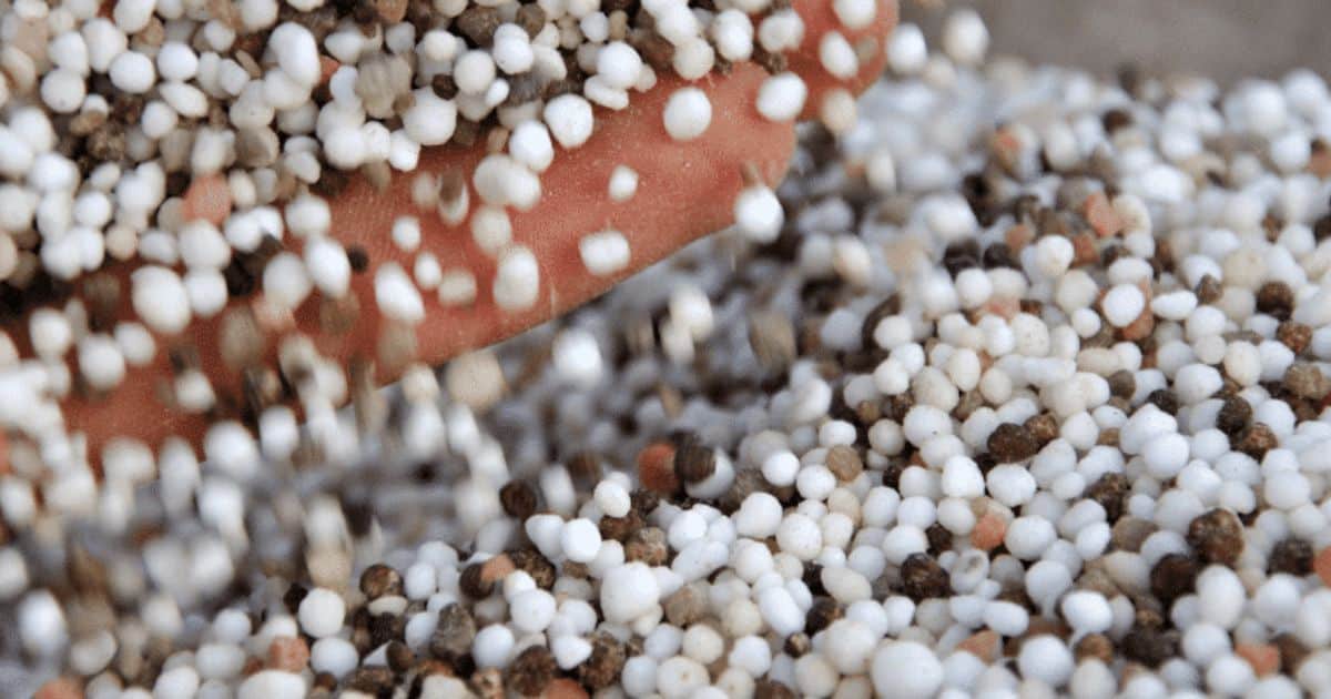 What rising fertiliser prices mean for your insurance