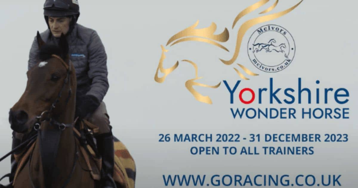 McClarrons Sport are delighted to facilitate the Yorkshire Wonder Horse bonus