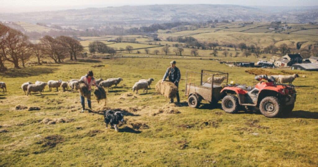 Management Liability Insurance – how rural businesses can benefit