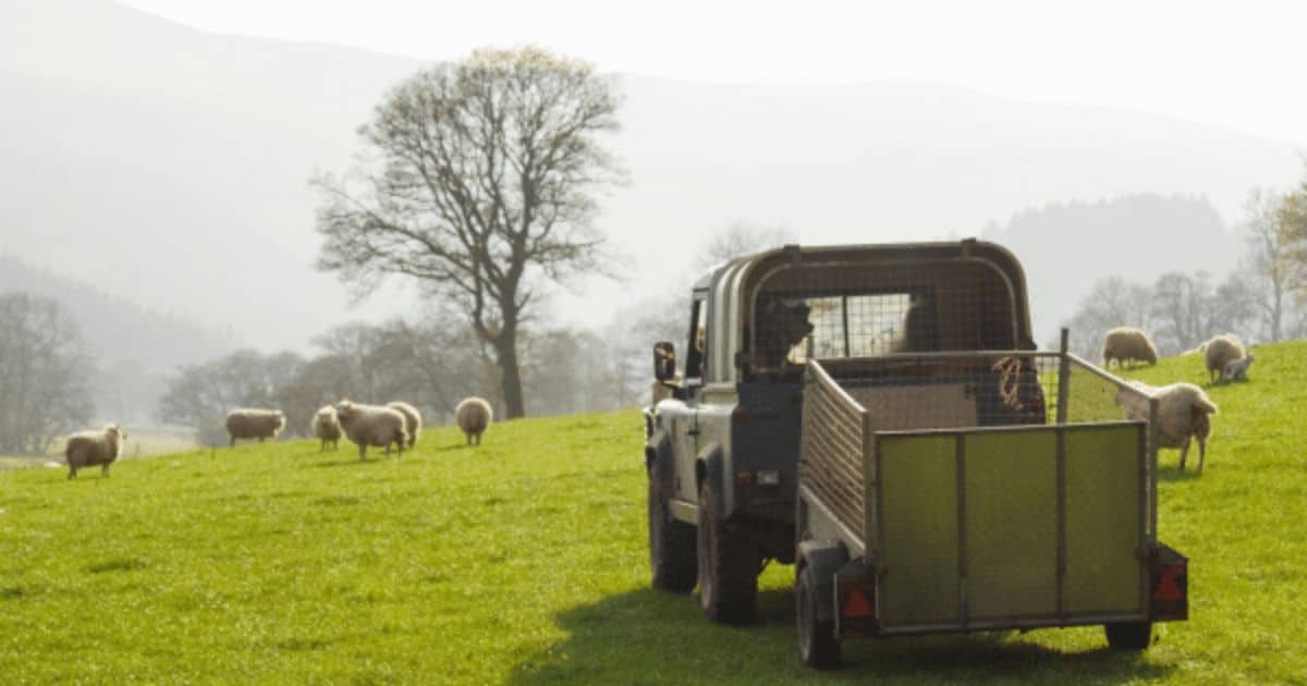 Rural Protect Framing Business