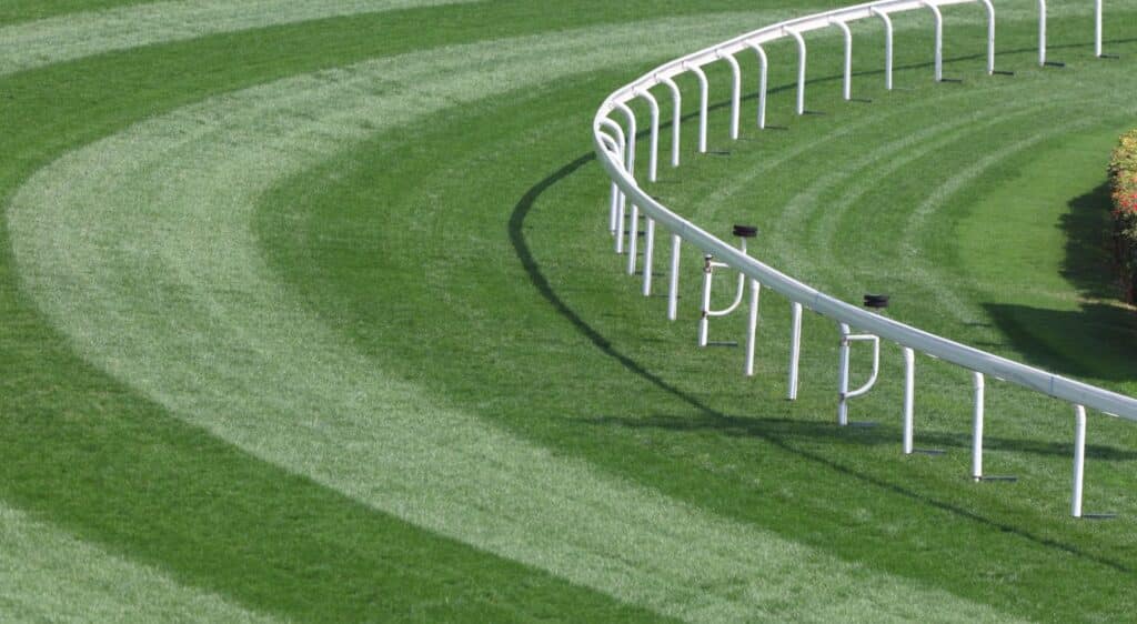 Racehorse Training Business Insurance Rural Insurance McClarrons