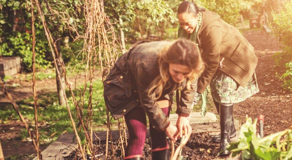 Social Farms & Gardens Insurance - Charity & Community Insurance - McClarrons