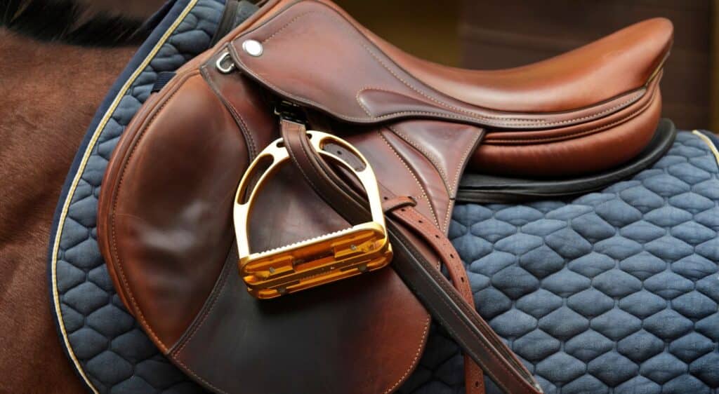 Equestrian Business Insurance - McClarrons