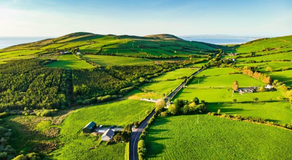 Rural Business Insurance - McClarrons