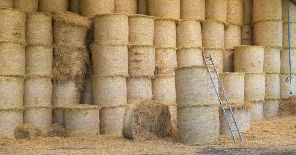 Safeguarding Your Farm Key Findings of the 2025 HSE Fatal Injury Report