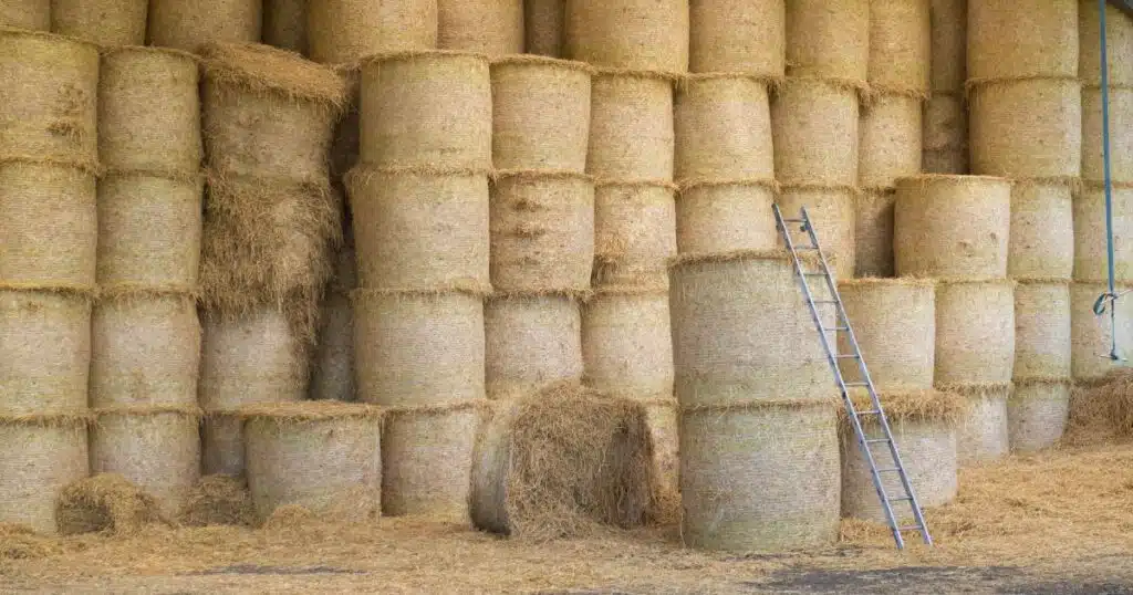 Safeguarding Your Farm Key Findings of the 2025 HSE Fatal Injury Report