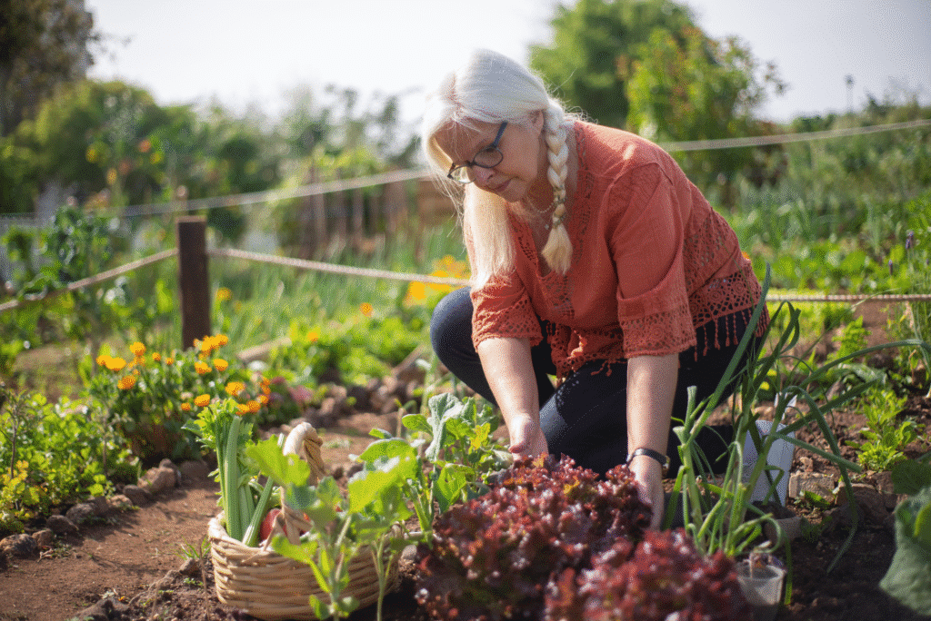 social farms and gardens banner