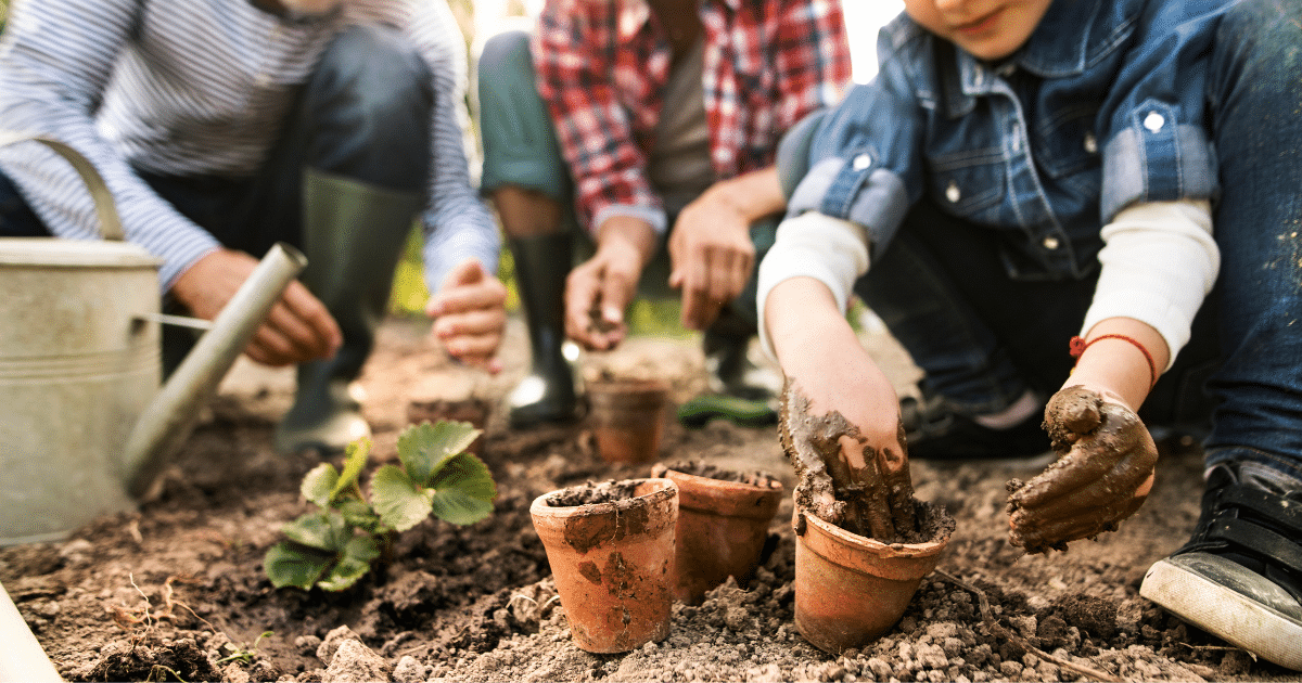 McClarrons are proud to further enhance our insurance offering for Social Farms & Gardens members