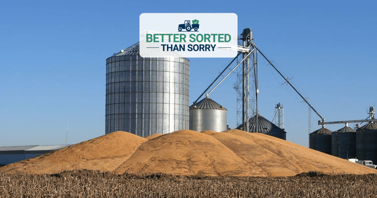 Better Sorted Than Sorry - Success Story – When One Missed Step Changes Everything