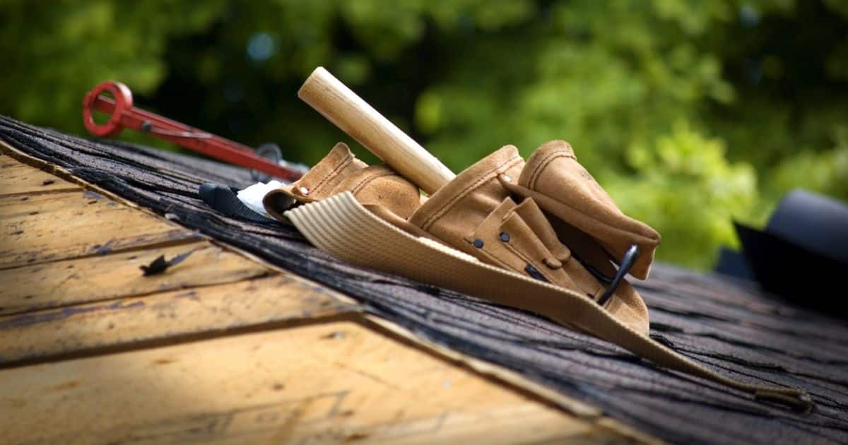 Success Story - Flappy Roof